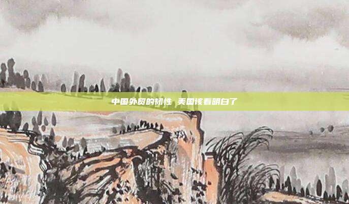 中国外贸的韧性 美国该看明白了