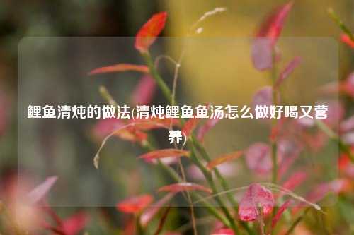 鲤鱼清炖的做法(清炖鲤鱼鱼汤怎么做好喝又营养)