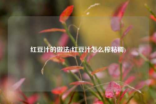 红豆汁的做法(红豆汁怎么榨粘稠)