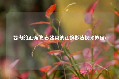 酱肉的正确做法(酱肉的正确做法视频教程)