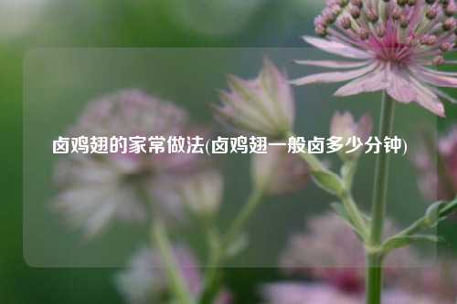 卤鸡翅的家常做法(卤鸡翅一般卤多少分钟)
