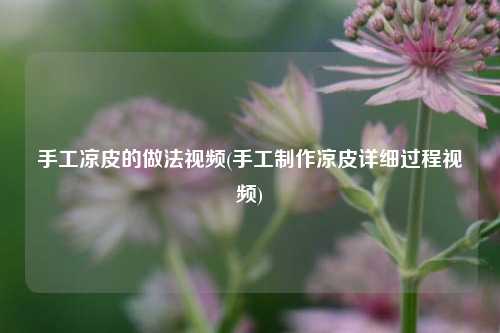 手工凉皮的做法视频(手工制作凉皮详细过程视频)