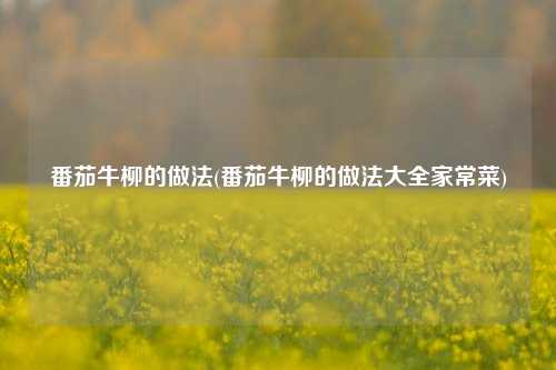 番茄牛柳的做法(番茄牛柳的做法大全家常菜)
