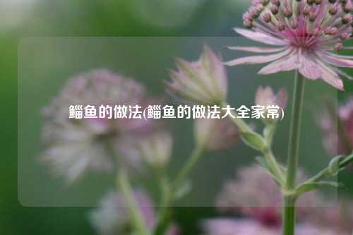 鲻鱼的做法(鲻鱼的做法大全家常)