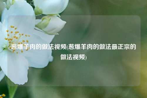 葱爆羊肉的做法视频(葱爆羊肉的做法最正宗的做法视频)