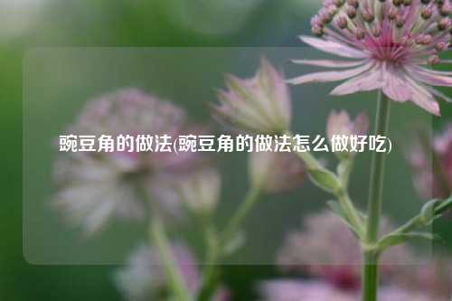 豌豆角的做法(豌豆角的做法怎么做好吃)