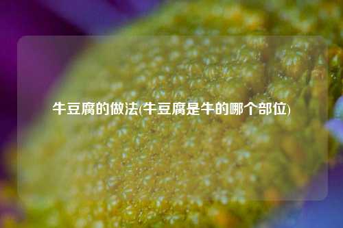 牛豆腐的做法(牛豆腐是牛的哪个部位)
