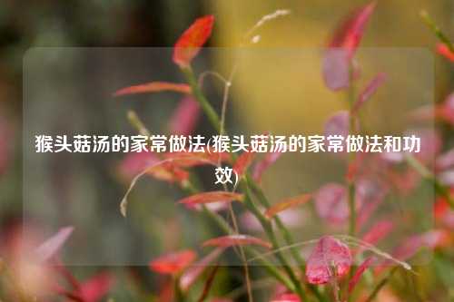猴头菇汤的家常做法(猴头菇汤的家常做法和功效)