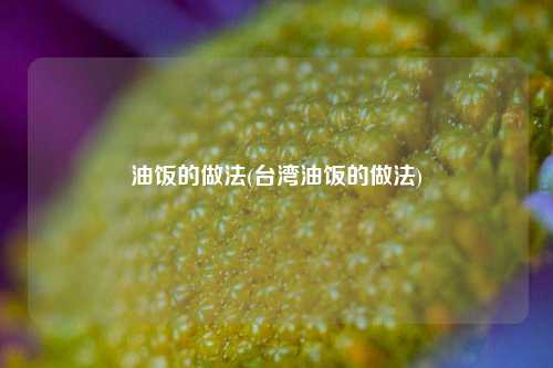 油饭的做法(台湾油饭的做法)