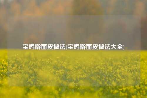 宝鸡擀面皮做法(宝鸡擀面皮做法大全)