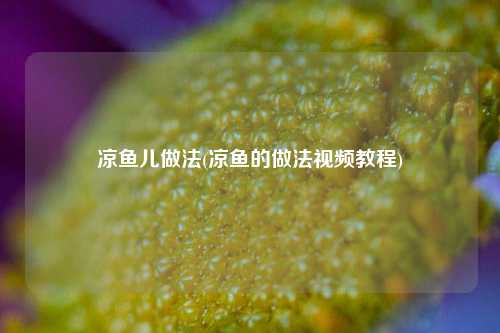 凉鱼儿做法(凉鱼的做法视频教程)
