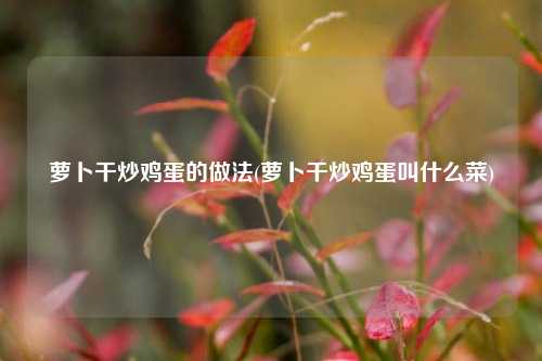 萝卜干炒鸡蛋的做法(萝卜干炒鸡蛋叫什么菜)