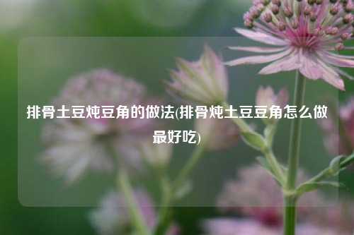 排骨土豆炖豆角的做法(排骨炖土豆豆角怎么做最好吃)